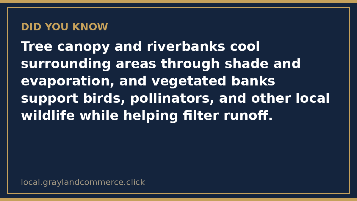 Illustrated fact card noting that tree canopy and riverbanks cool surrounding areas and support birds, pollinators, and other local wildlife