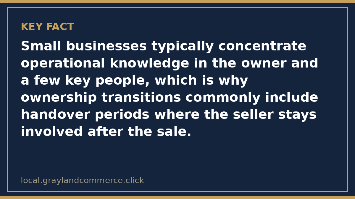 Illustrated fact card noting that small businesses concentrate operational knowledge in the owner and a few key people, so handovers commonly include transition periods